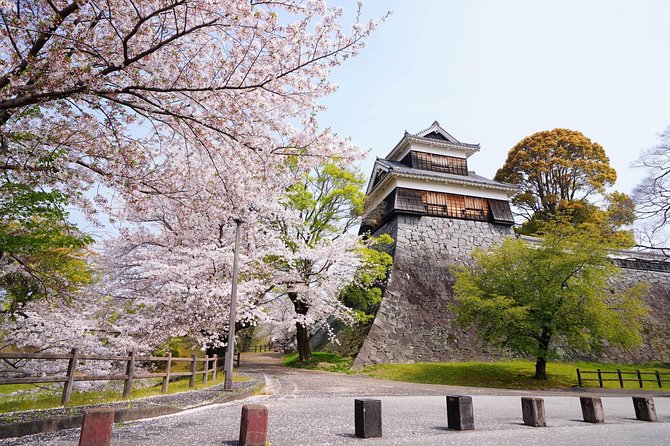 Kumamoto Private Customizable Half Day Tour