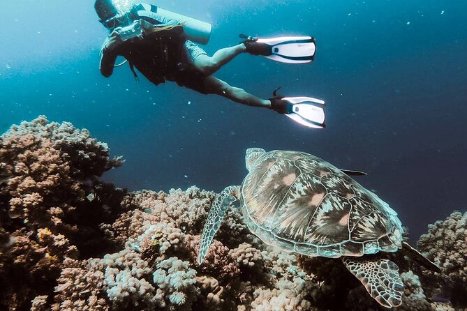 Kusadasi Scuba Diving Tour By Local Experts
