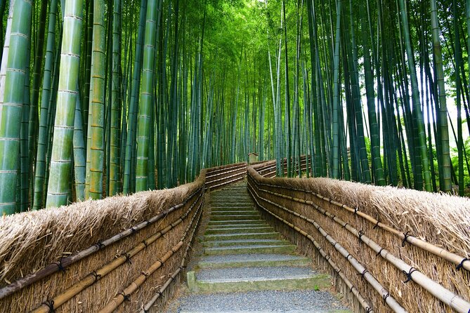 Kyoto and Miyama Full Day Tour From Osaka