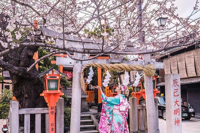 Kyoto Highlight Private Tour With English Speaking Driver - Tour Overview