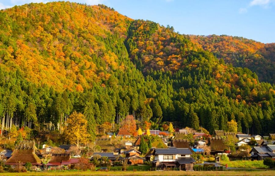Kyoto: Ine Bay, Amanohashidate & Miyama Day Trip From Osaka