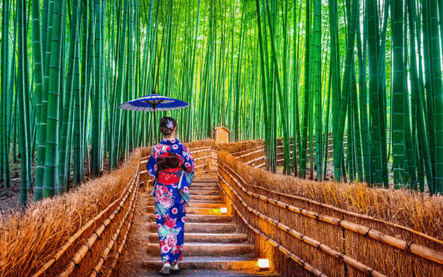 Kyoto/Osaka: Kyoto and Nara Customizable Guided Day Trip