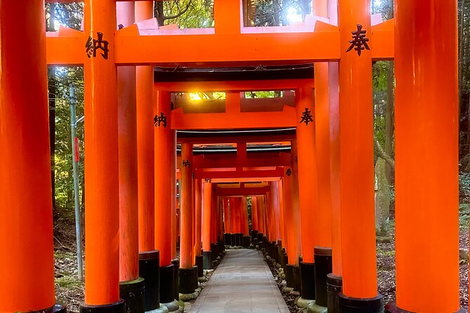 Kyoto Tour in Spanish: Fushimi Inari Bamboo Forest and Kinkaku-ji