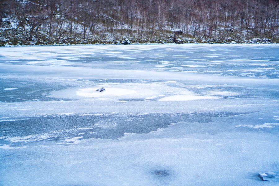 Lake Tachibana Snowshoeing Tour - Tour Overview