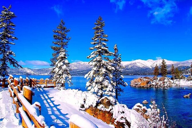 Lake Tahoe Full Day Private Tour From Cupertino