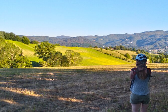 Land of Painters – the Origins of the Tuscan Landscape
