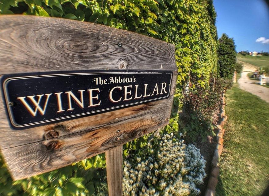 Langhe: Wine and Food Tasting Experience