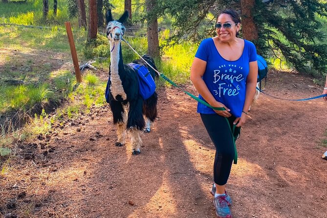 Llama to Lunch in the Rocky Mountains - Scenic Location in the Rocky Mountains