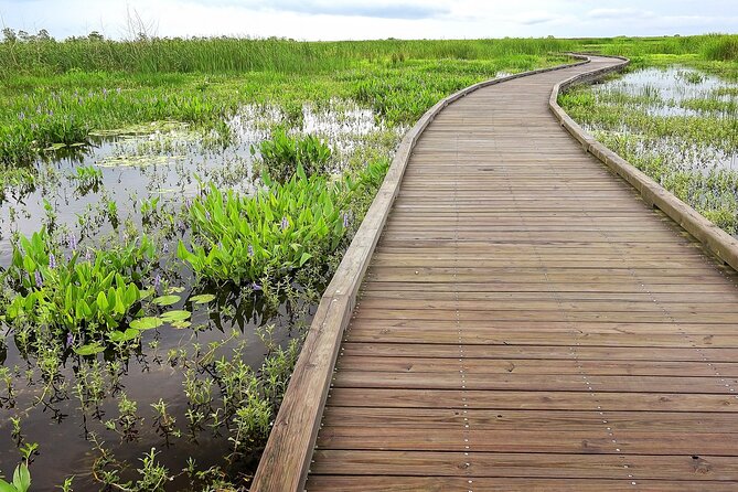 Louisiana Creole Nature Trail Self-Guided Audio Driving Tour - Pricing and Value Proposition