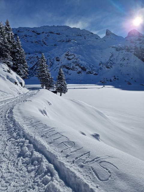 Lucerne: Private Snowshoe Tour