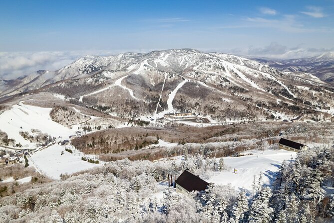 Luxurious 6 Night Stay in Shiga Kogen and Myoko Akakura - Experiencing the Myoko Akakura Snow Area