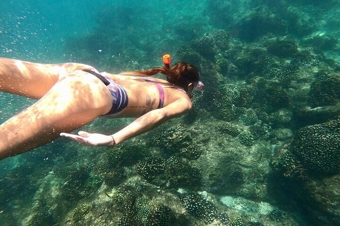 Luxury Snorkeling Tour in Cabo San Lucas - Tour Overview and Highlights