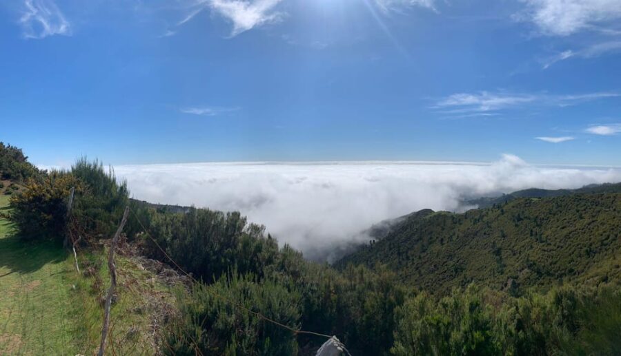 Madeira: Porto Moniz Lava Pool & Magic Fanal Forest Jeep4x4