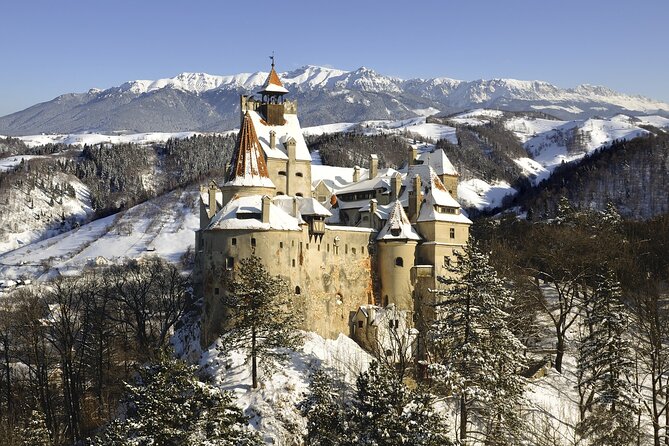 Magical Christmas Walk in Bran