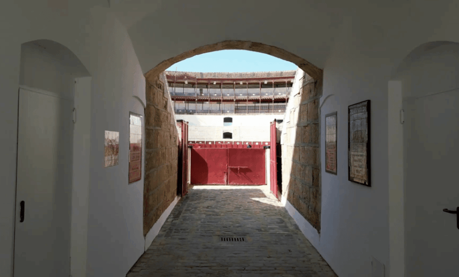 Malaga: Tour of Malagueta Bullring & Immersive Exhibition