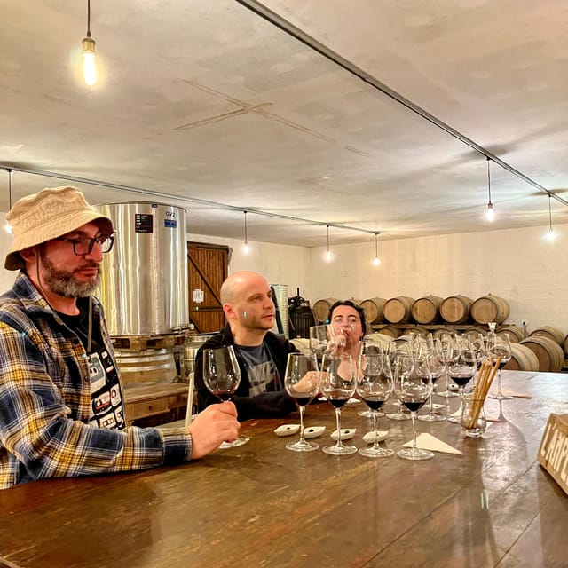 Margaux & Médoc Private FULL Day Tour With a Classic Car