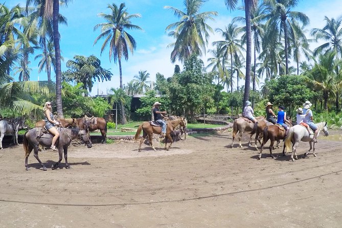 Mazatlan Sightseeing With Lunch and 2 Activities for up to 8 Passengers