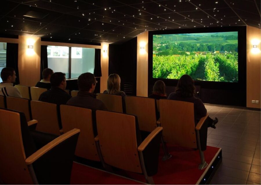 Meunier Experience – English Tour – Champagne Passy-Grigny