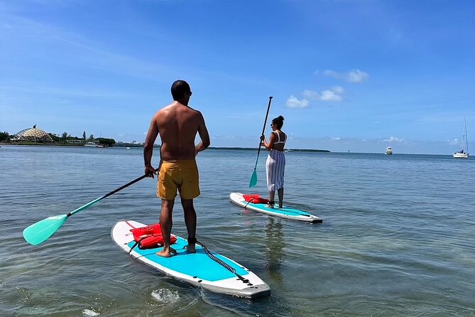 Miami Biscayne Bay Paddle - Paddle Board and Kayak Rental