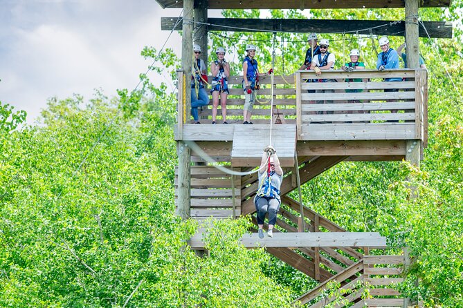 Minnesotas Premiere 7 Line Zipline Experience