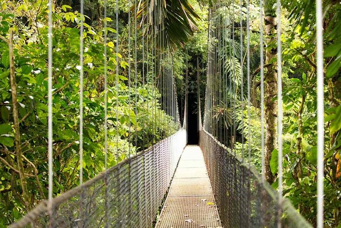 Mistico Arenal Hanging Bridges