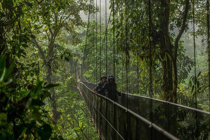 Mistico Hanging Bridges Admission Ticket - Location and Ratings