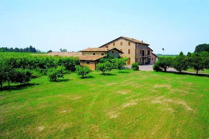 Modena Area: Balsamic Vinegar “Aceto” Tasting Experience
