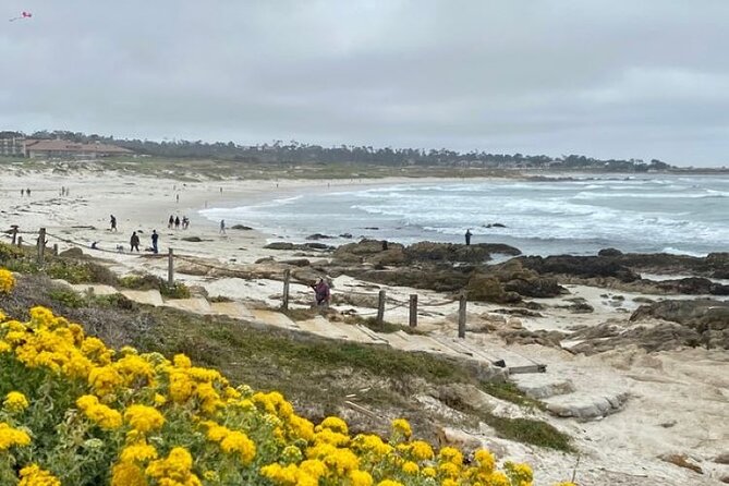 Monterey Bay Famous Dog Friendly Electric Bike and Sidecar Tour
