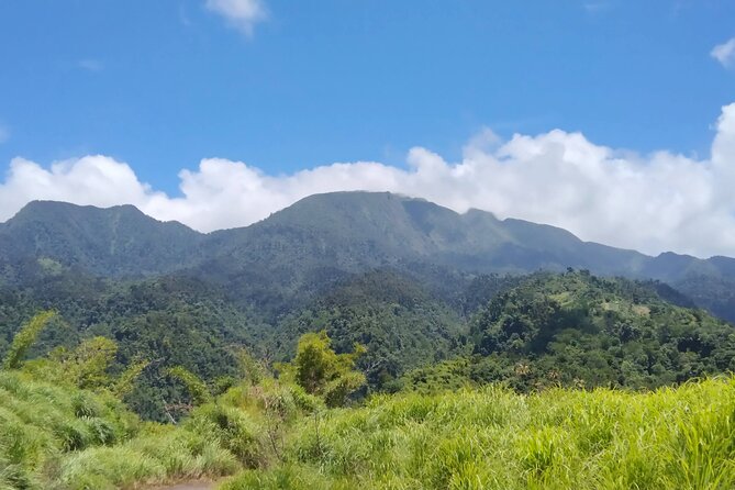 Morne Daiblotin Mountain Climb -Dominicas Tallest
