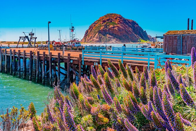 Morro Bay: Private 2 Hour Stroll & Savory Delights Tour