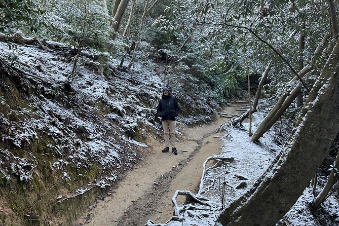 Mount Daimonji Hike Includes Temples Shrines & Gardens of Kyoto - Hike Overview