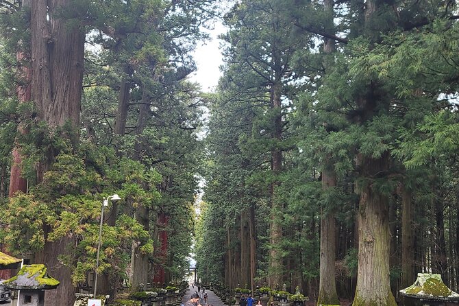 Mount Fuji Day Tour With English/Hindi Speaking Guide