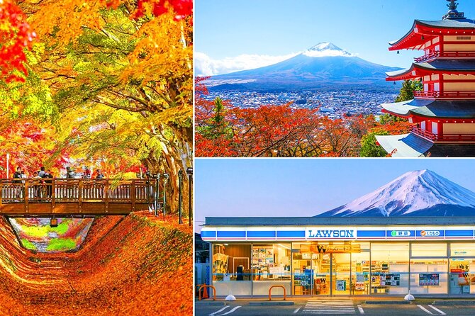 Mount Fuji Day Trip From Tokyo With Scenic Views
