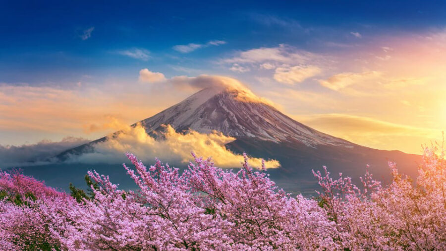 Mount Fuji: Exclusive Private Car Tour