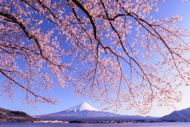 Mount Fuji Full Day Tour Form Tokyo Lake Kawaguchi & Yamanaka