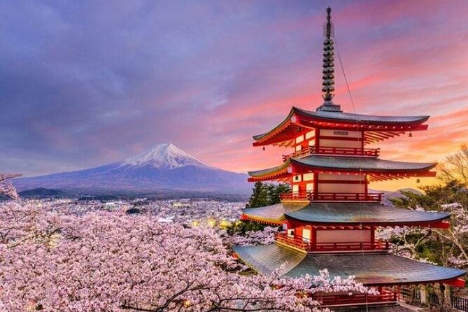 Mount Fuji (Mt. Fuji) Private Tour by Car With Pickup From Tokyo