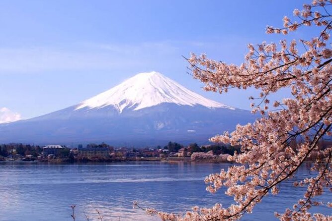 Mount Fuji Sightseeing Day Tour With English-Speaking Driver