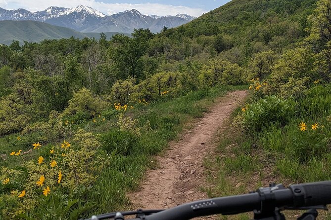 Mountain Ebike Tour
