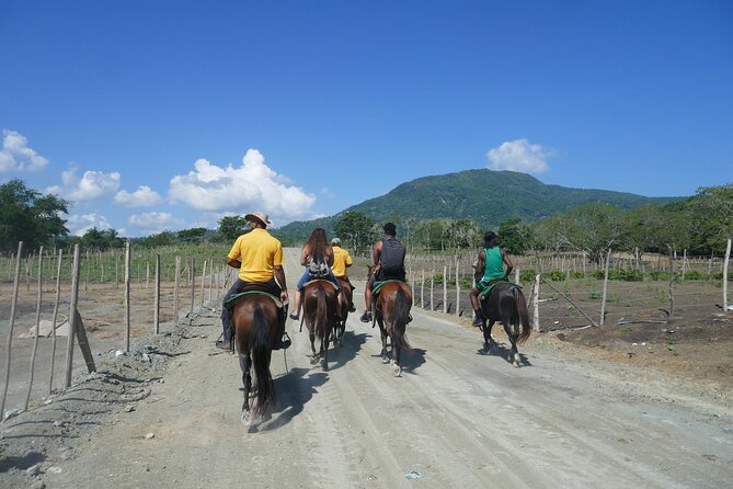 Mountain Horse Back Riding