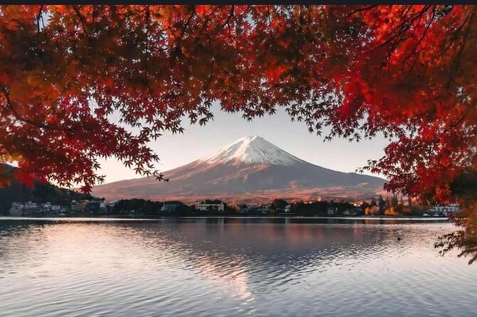 Mt. Fuji 1-DAY Private Tour With English Speaking Driver