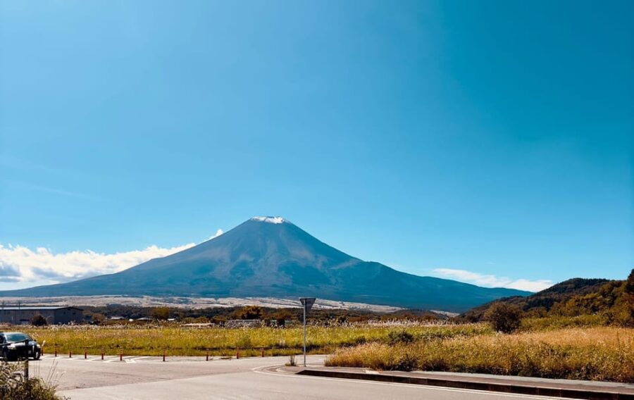 Mt. Fuji and Hakone Lake Ashi One Day Private Tour - Tour Overview and Pricing