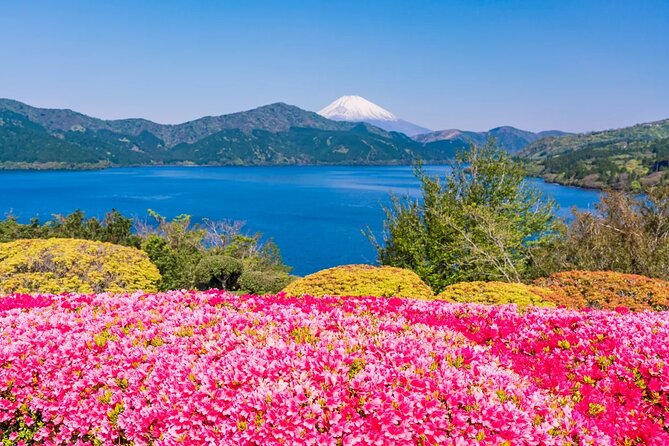 Mt Fuji and Hakone One Day Tour Departure From Tokyo With Lunch
