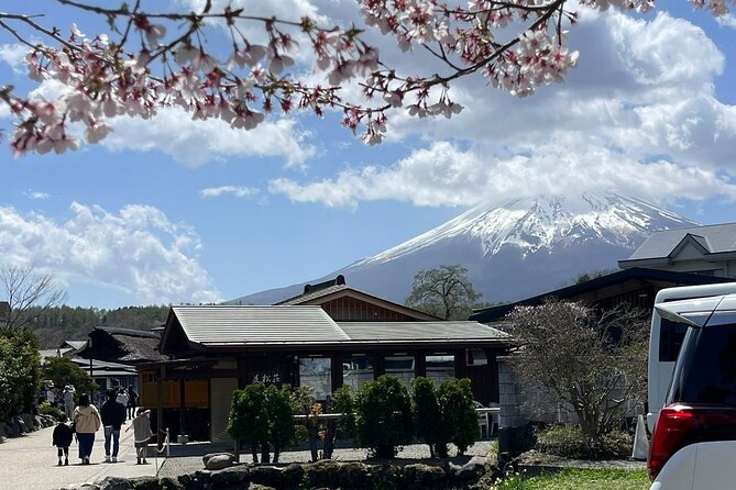 Mt Fuji & Hakone Private Day Tour W/ English Speaking Guide