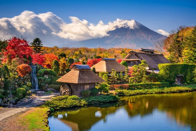 Mt Fuji, Hakone Private Tour by Car Pickup From Tokyo
