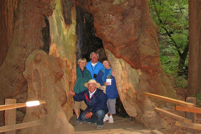 Muir Woods Forest Private Tours Review