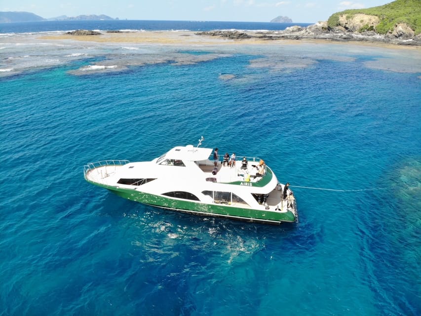 Naha:Kerama Islands 2 Fun Dive/Whale Watching Limited Time