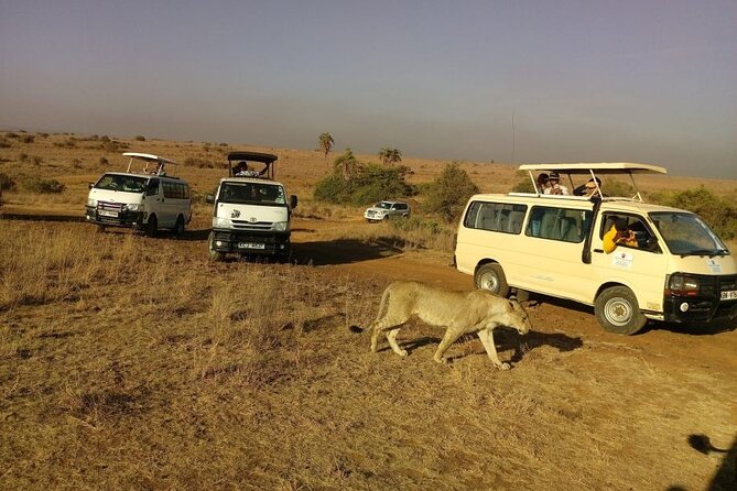 Nairobi National Park 6 Am Group-Joining Game Drive