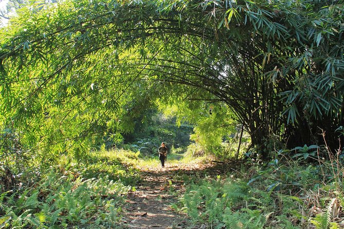 Namdhapa Wildlife & Treehouse