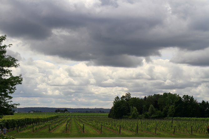 Napa & Sonoma Wine Tour Private Tours 8 to 10 Hours Max 14 Pax