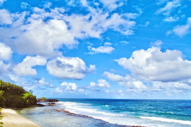 Nature Discovery Tour: Dolphins, Tortoises, the Wild South & More